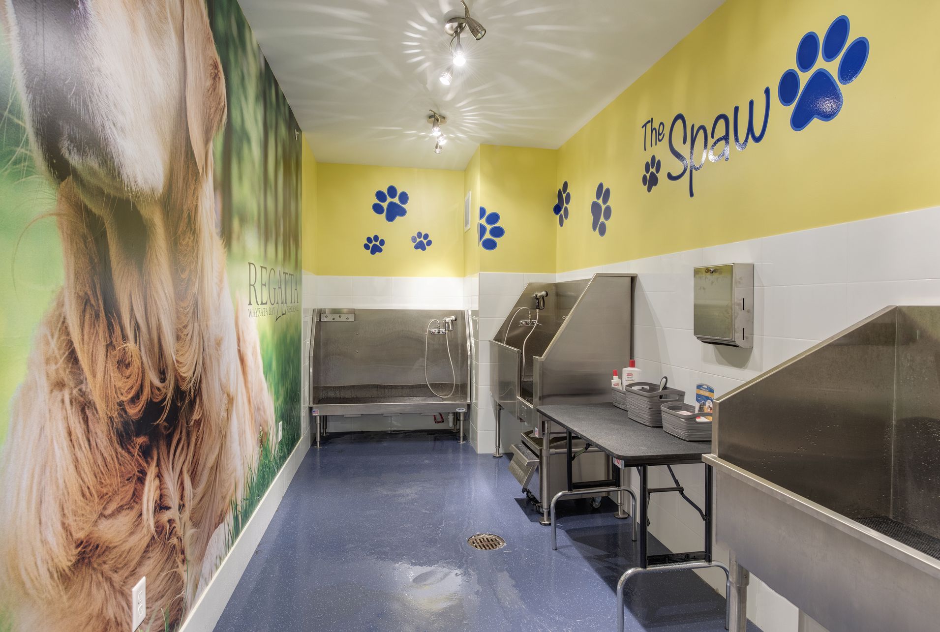 The Spaw - Indoor dog care faciliites